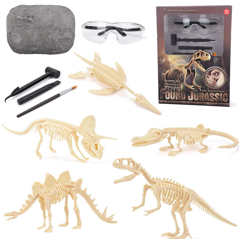 Model Kit Dinosaur - Dinosaurus Fossielen Opgraving Kit STEM: Ontdek
