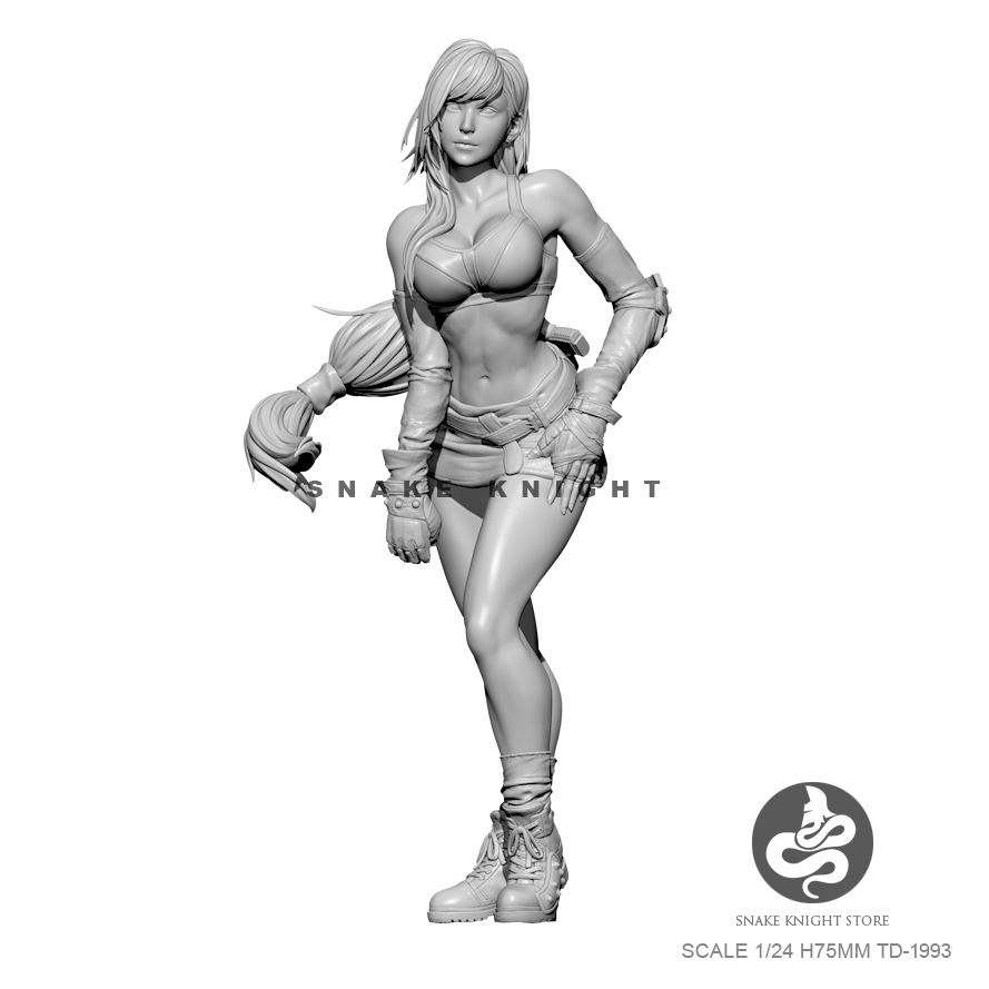 1/24 Hars Kits Figuur Soldier  - Model Kit Galahad recensie en prijs