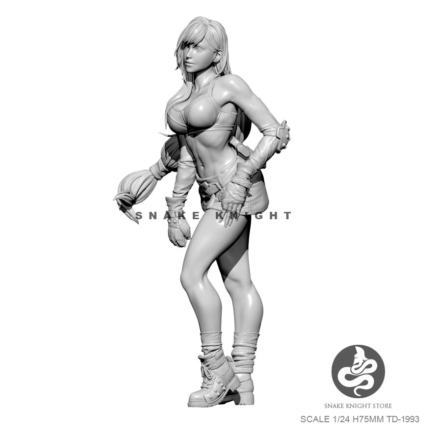 1/24 Hars Kits Figuur Soldier  - Model Kit Galahad recensie en prijs