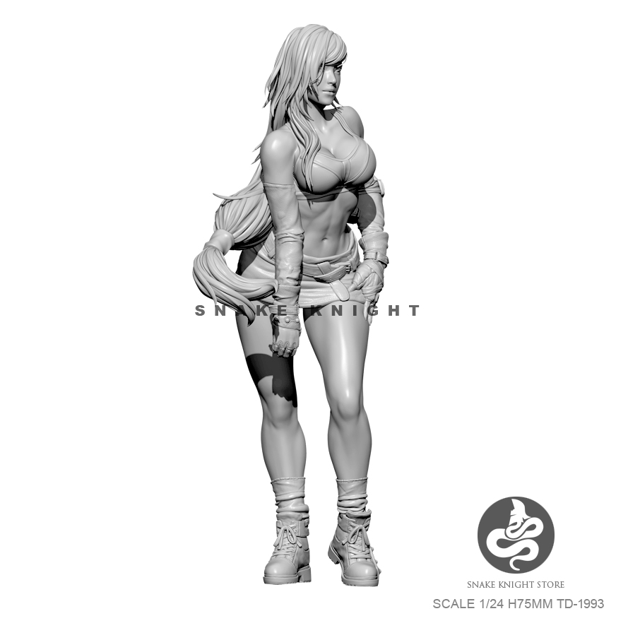 1/24 Hars Kits Figuur Soldier  - Model Kit Galahad recensie en prijs
