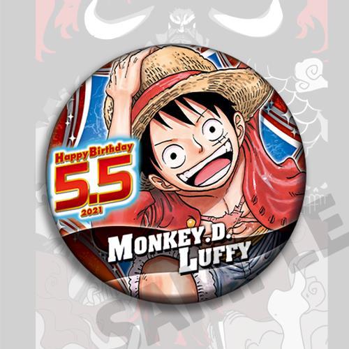 Een Stuk Anime Badge Pin Set L - Model Kit Anime recensie en prijs